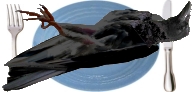 Dead crow on a plate with a knife and fork.